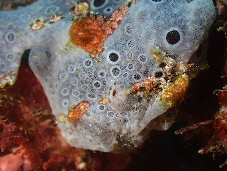 【11月27日】あれあれ?