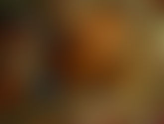 キュートな輩たち