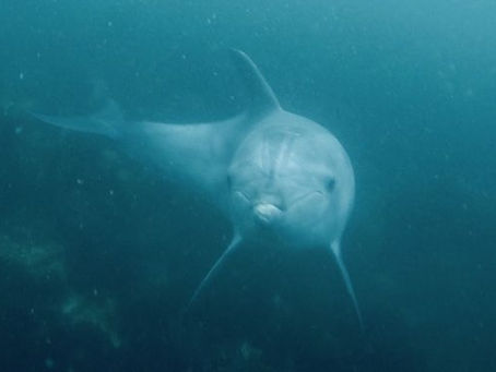 【5月23日】遊ぶ姿に萌