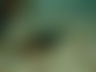 【11月3日】ハンマーですって!!