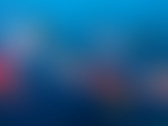 【8月7日】群れ群れDAY