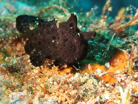 【8月27日】どうなるのか！？