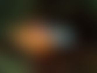 随分大きいですけど…