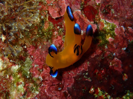 南西→北東→南西の巻き…