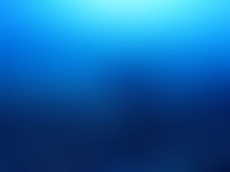 カメちゃんですわ!(^^)!