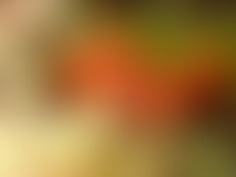 もぉ少しネタがほしいな。。。