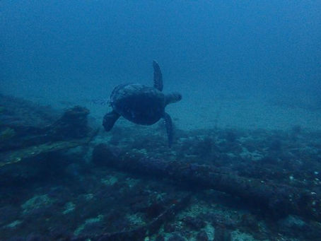 心地よい秋日和