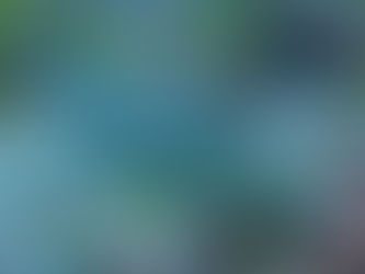 【5月26日】初夏の海!