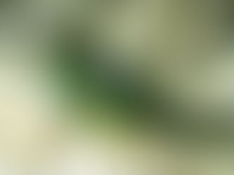 【8月4日】汗が止まらないw