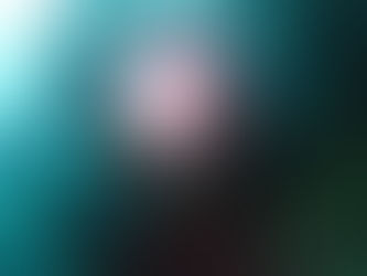 あらら透明度が⤵