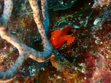 あのヤグラが．．．