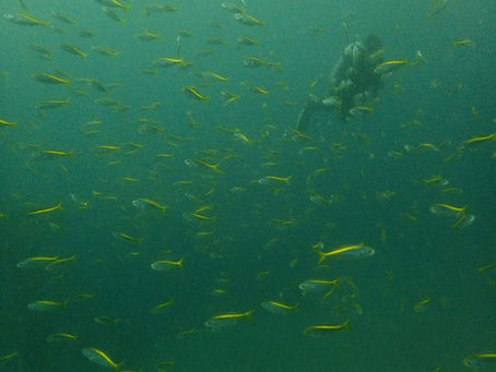透明度よろしいかと。