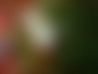 【5月5日】海陸最高!