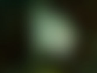 【7月10日】今日は花火大会!