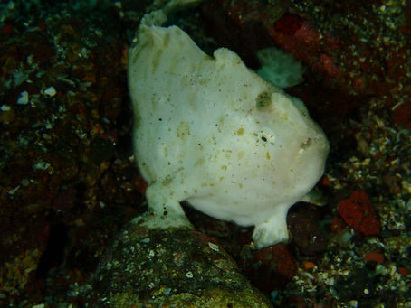 【7月10日】今日は花火大会!