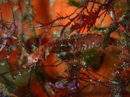 まだまだ見どころたくさん！！