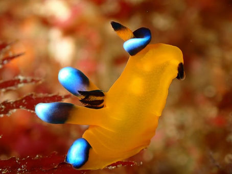 【1月16日】お水冷たいよぉぉ