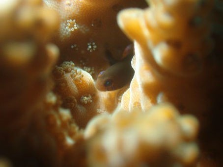 【9月15日】来ちゃった…