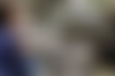 Se creó por Decreto el Programa de Asistencia de Emergencia al Trabajo