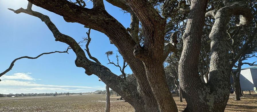 Sitting with the Uncomfortable