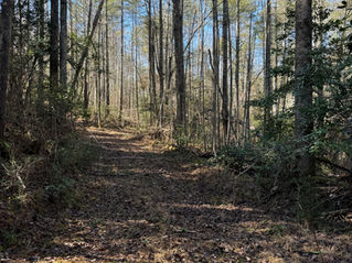 Expanding Our Trails: A Place for Reflection and Renewal