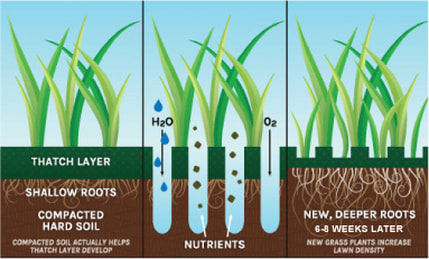 A diagram of the benefits of Aerating and Dethatching your lawn.