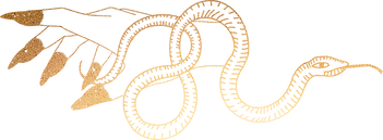 Hand Comp 12 (1).png