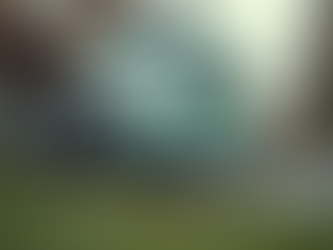 Convenience of Mobile Vet Services in Hyderabad