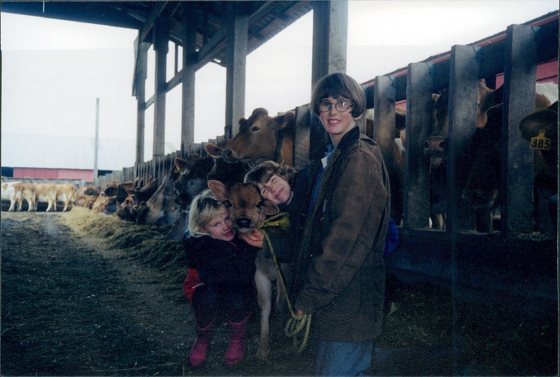 scan231.jpg
