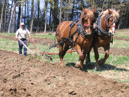 Two Walking Plow Stories