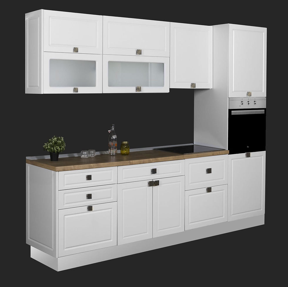 Bucatarie modulara v5.0