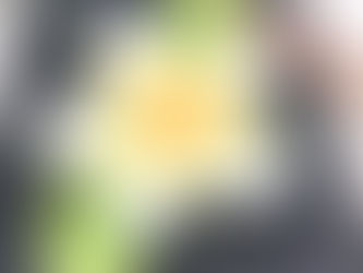 プロフェッショナル総合コースを開講致します。