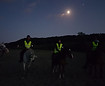 20200925_202829 BD.jpg