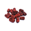 Thumbnail: 红枣 (Red date/Ziziphus jujuba)