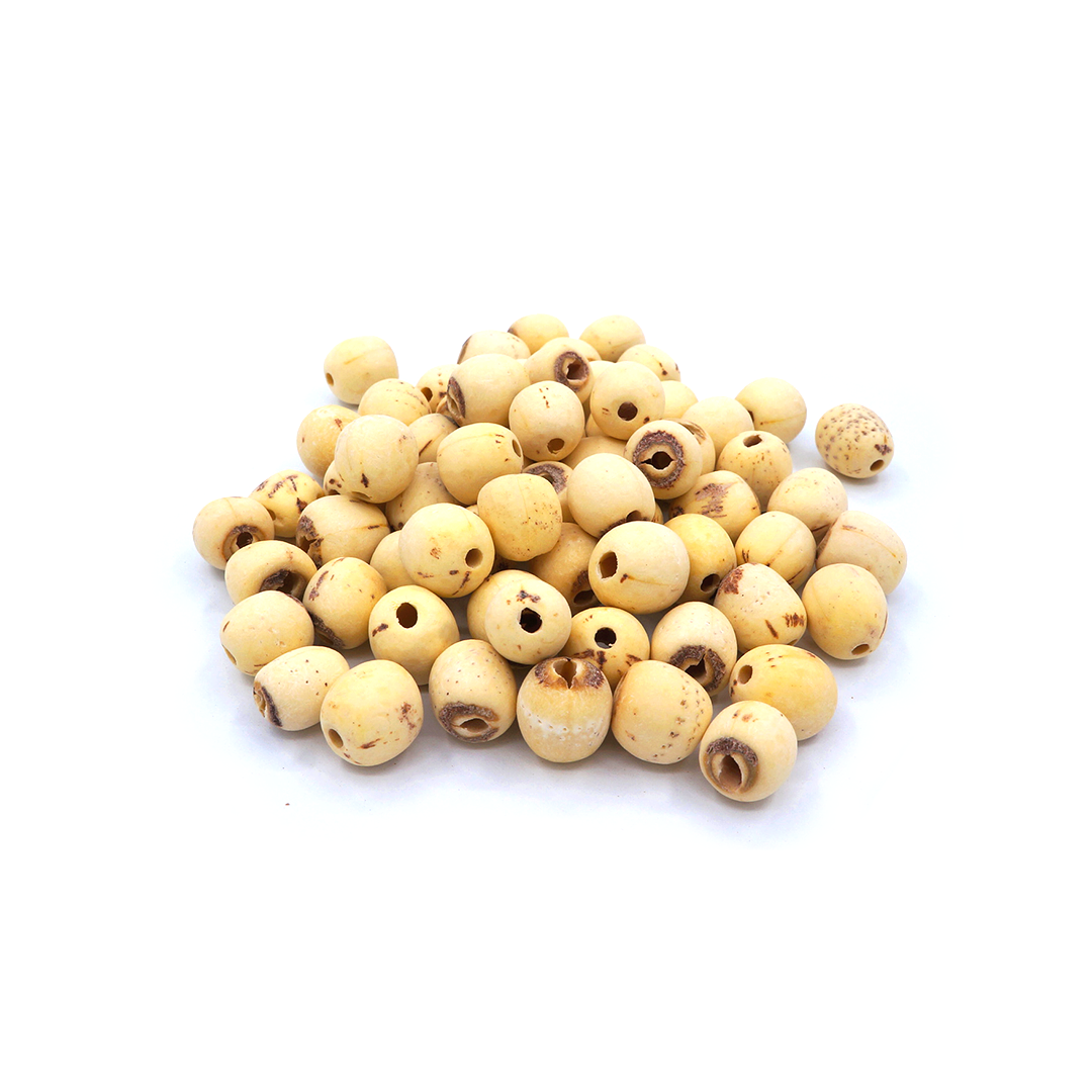 莲子 (Lotus seed/Semen Nelumbinis)