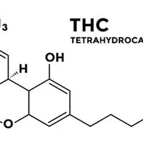 cannabis organic structure for website_e