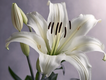 Honoring Robert Lee Birden: A Life Remembered in Love