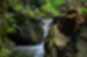Description Photo.jpg