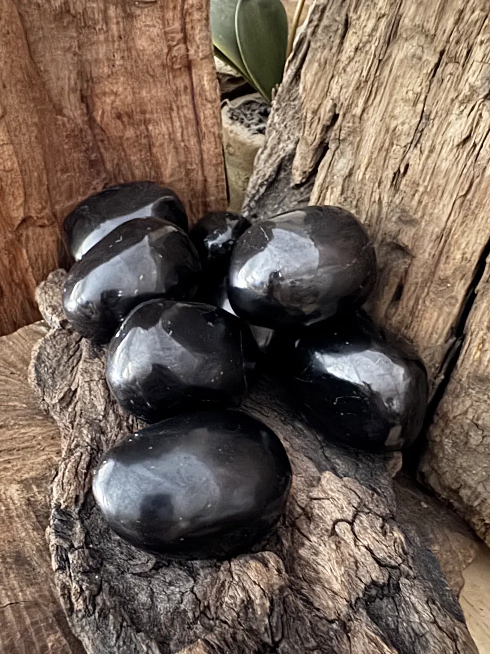 Thumbnail: BIG SHUNGITE (TUMBLED)