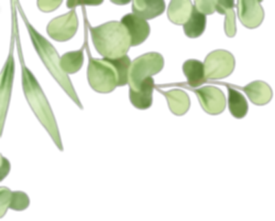 Naturally Living 4 Life _decoration