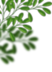 hero-decor-1.png