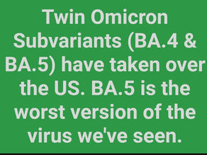 Twin Omicron Subvariants!