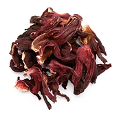 Gin Tonic, Gin, Ginebra, Botánicos, Botánica, Especies, Hierbas, Flor, Hibisco, Hibiscus