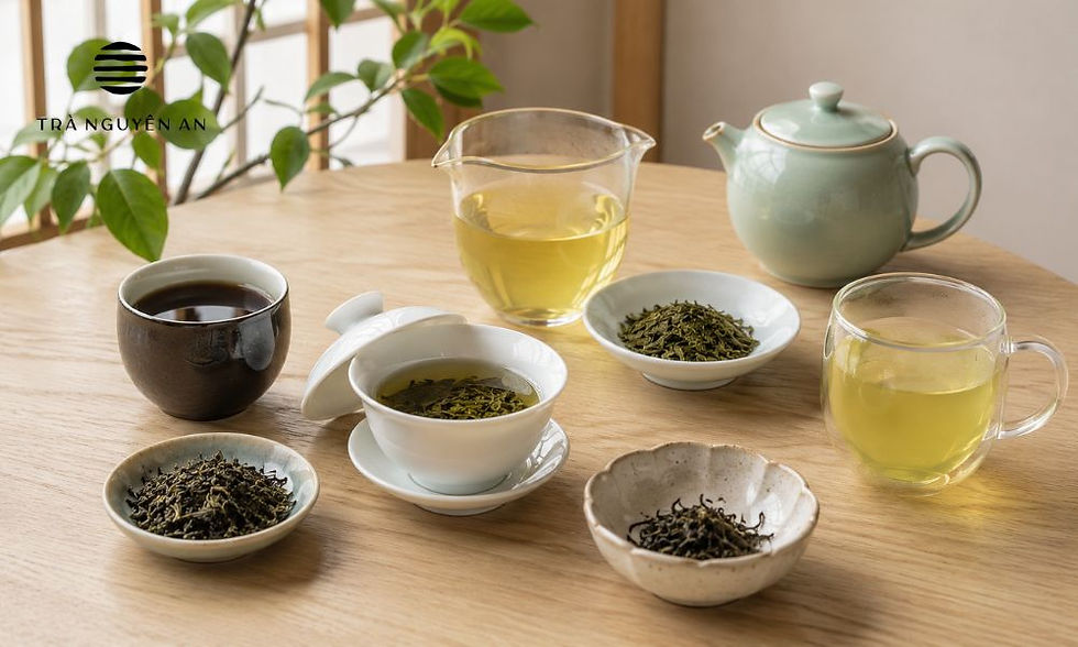 Trà cho người mới uống nên ưu tiên hương vị nhẹ và hậu vị dễ chịu
