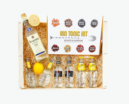 Seagram's Gin, Gin Tonic Kit, Schweppes Heritage Original, Nordic Mist Tonic Water, Schweppes, Ginebra, Gin Tonic
