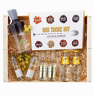 Gin Tonic, Gintonic, Ginebra, Gin Tonic Kit, G-Vine, G’Vine, G Vine, Nouaison, 1724 Tonic Water, Fever Tree Tonic Water, Tonica, Schweppes