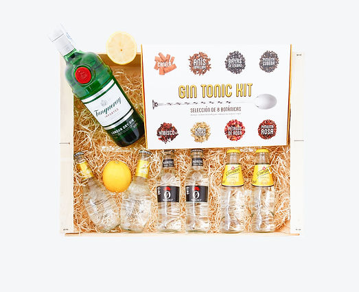 Tanqueray Gin, Gin Tonic Kit, Schweppes Heritage Original, Nordic Mist Tonic Water, Schweppes, Ginebra, Gin Tonic
