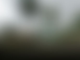 Criminosos furtam fiação elétrica do Cemitério Municipal de Canoinhas