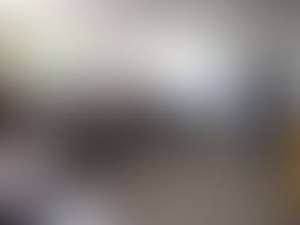 Secretaria de Educação realiza encontro com responsáveis pelo transporte escolar em Canoinhas