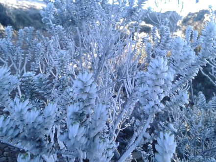 Terça-feira tem temperaturas baixas e presença do sol em Santa Catarina